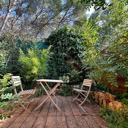 Charmant Studio Lodge Climatise Avec Jardin Et Vue Sur Le Pic Saint Loup Jacou Экстерьер фото